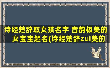 诗经楚辞取女孩名字 音韵极美的女宝宝起名(诗经楚辞zui美的女宝宝名字推荐，完美融合音韵与文化的百名精选！)